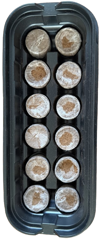Jiffy Germination Starter Kits