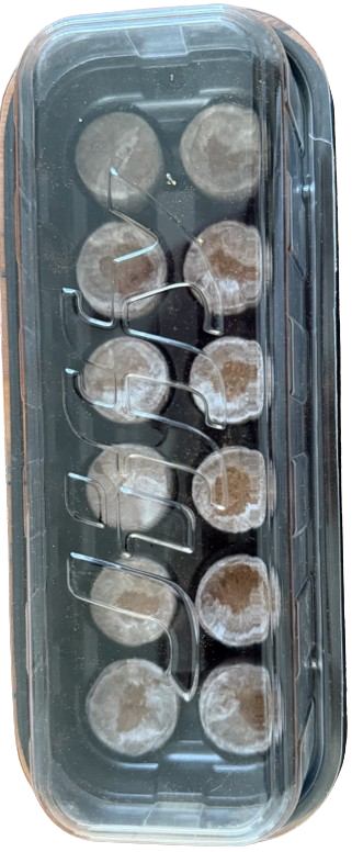 Jiffy Germination Starter Kits