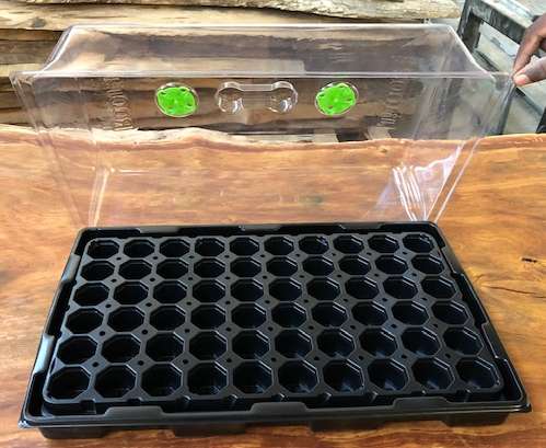 Jiffy Propagation Dome and Lid